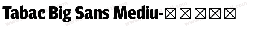 Tabac Big Sans Mediu字体转换